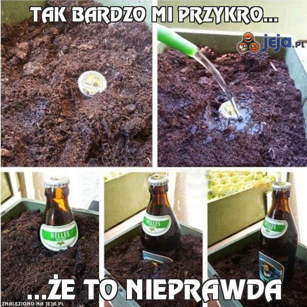 Tak bardzo mi przykro...