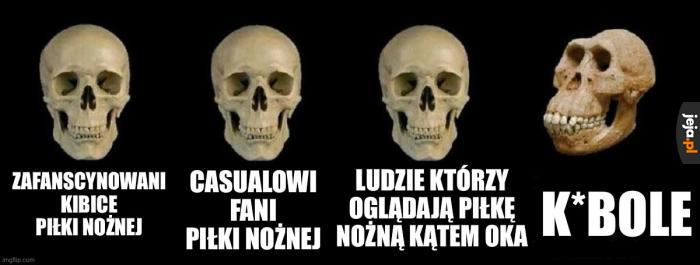 Żartuję, małpy są fajne i mądre, nie to co homo-kibolus