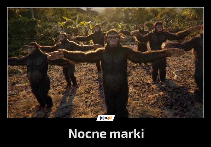 Coś dla 