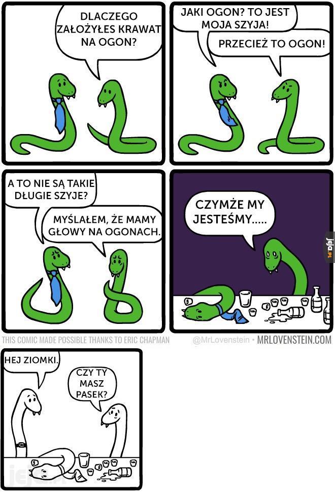Wężowe problemy