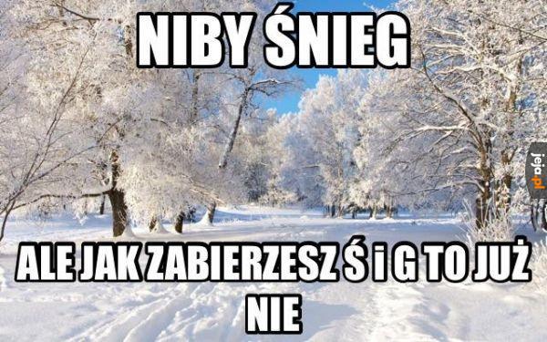 To ma sens