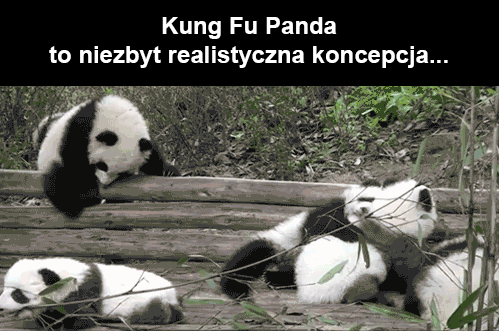 Kung Fu Panda to niezbyt realistyczna koncepcja