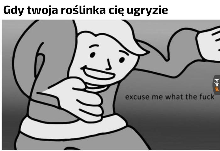 Może nie powiniennem dodawać uranu