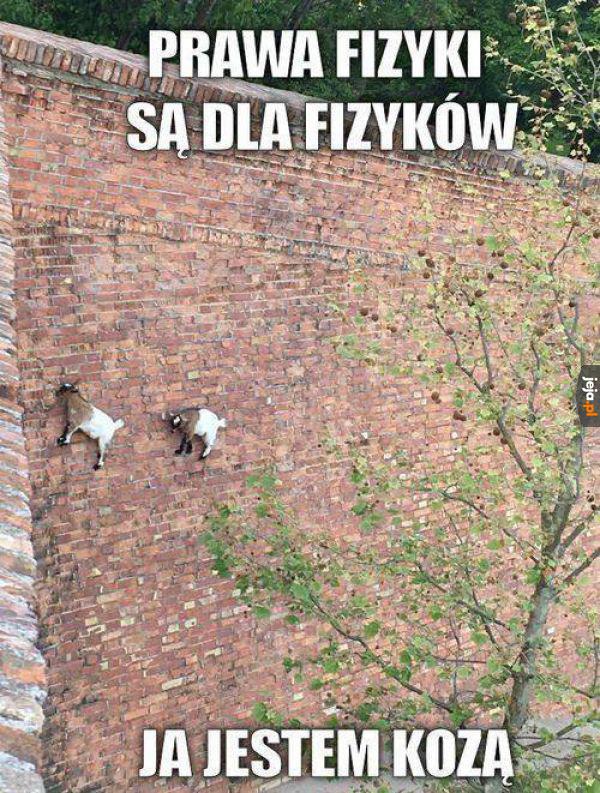 Nie zadawaj pytań