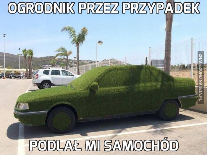 https://pobierak.jeja.pl/images/2/3/2/163865_ogrodnik-przez-przypadek.jpg
