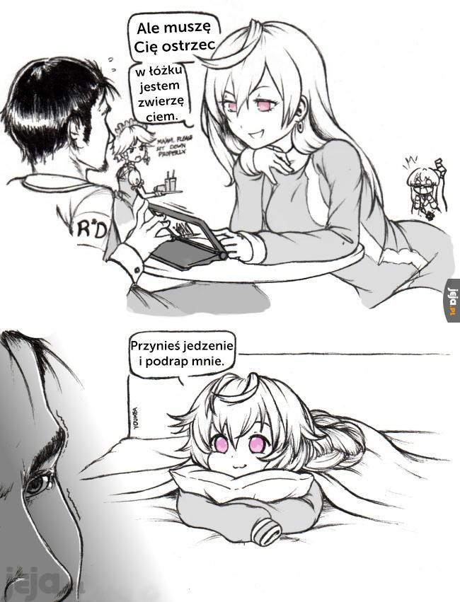 Zwierzę w łóżku
