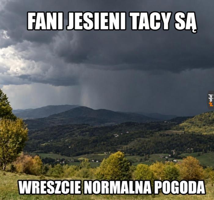 Mamy to