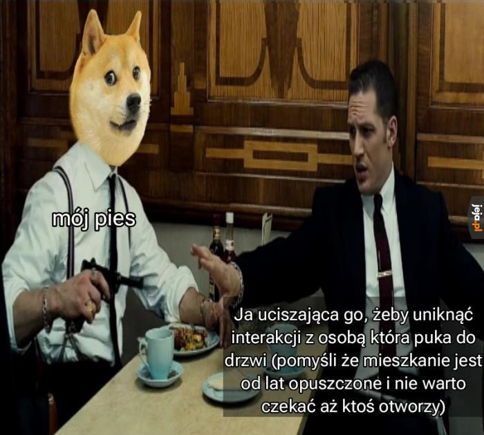 One woof VS my antisociality