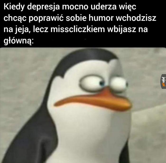 Piesek