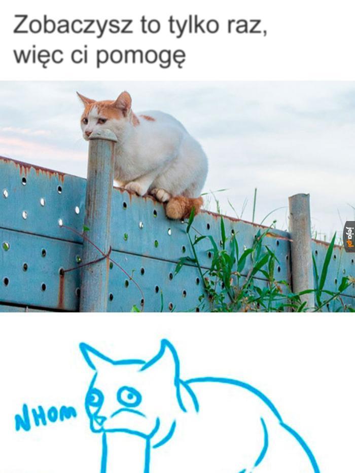 Iluzja