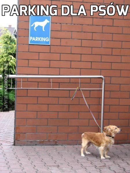 Parking dla psów