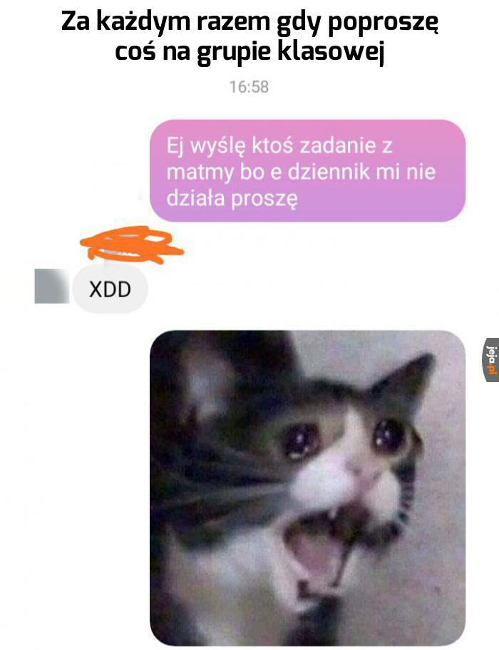 I tak codziennie
