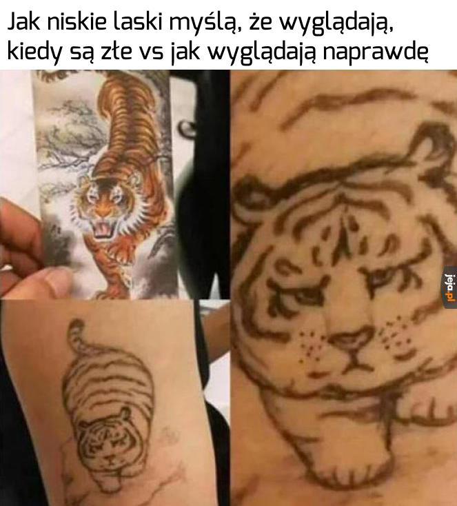 Tak to z nimi jest