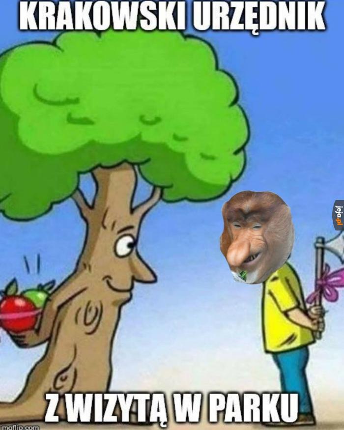 Krakowiak jak mało który