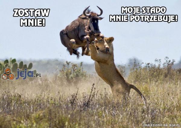 Zostaw mnie!