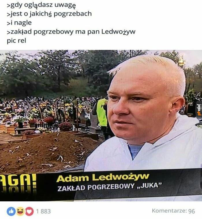 Wszyscy widzą brak polskich znaków, daruj sobie