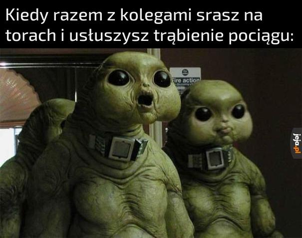 O NIE!