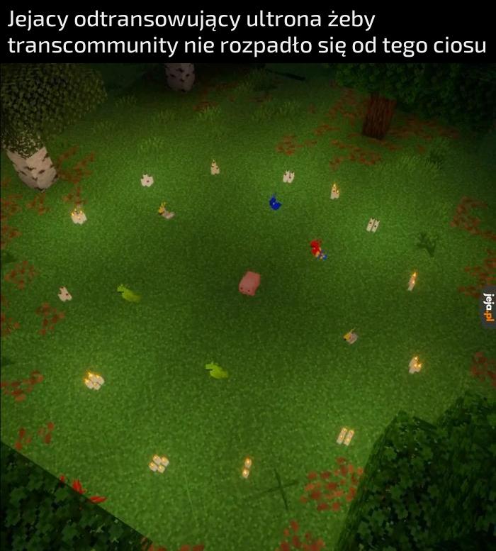 Żopa