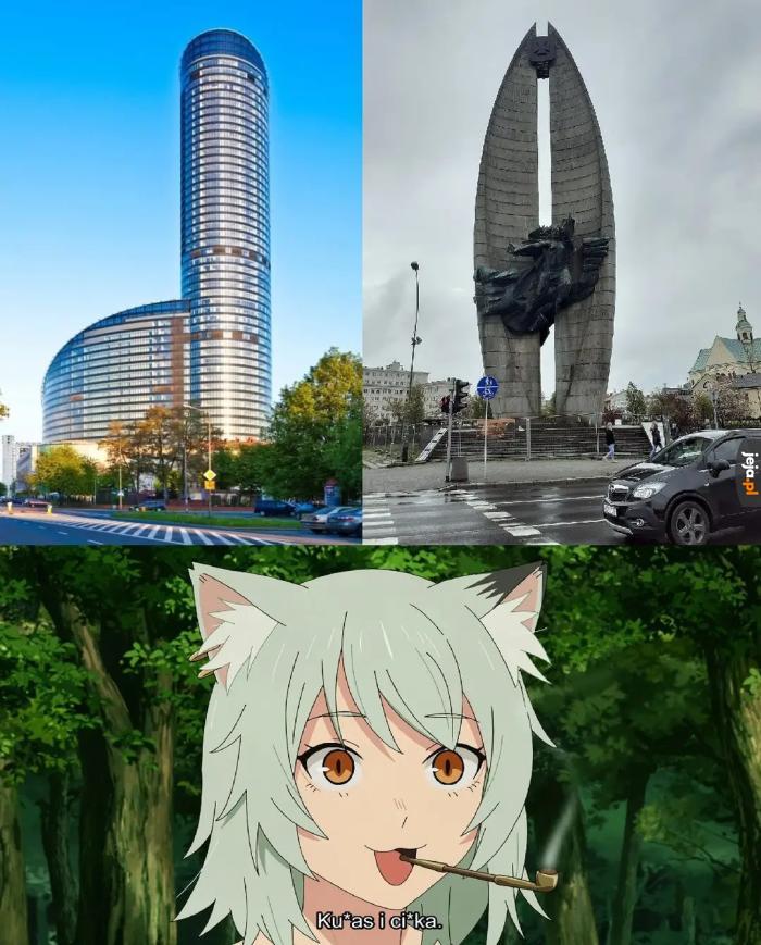 Yani Neko Polska edycja