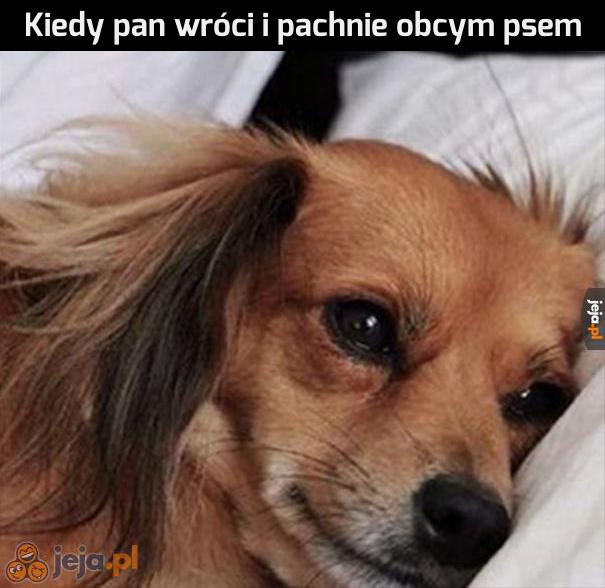 Depresja