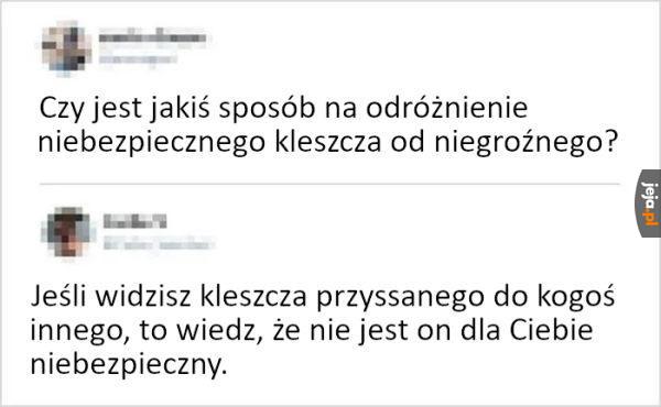 Jak operują kleszcze