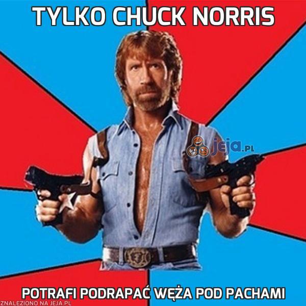 Tylko Chuck Norris