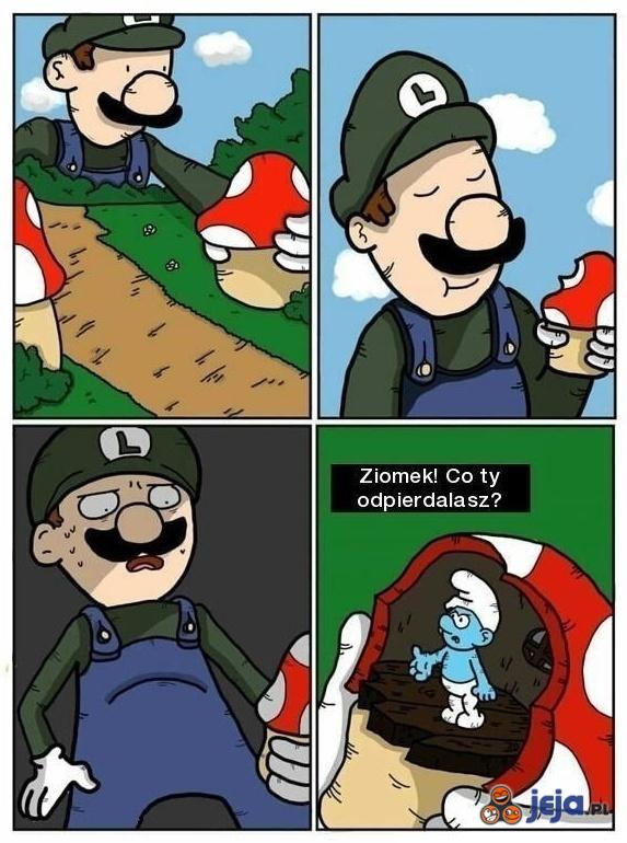 Luigi, wystarczy tych grzybków