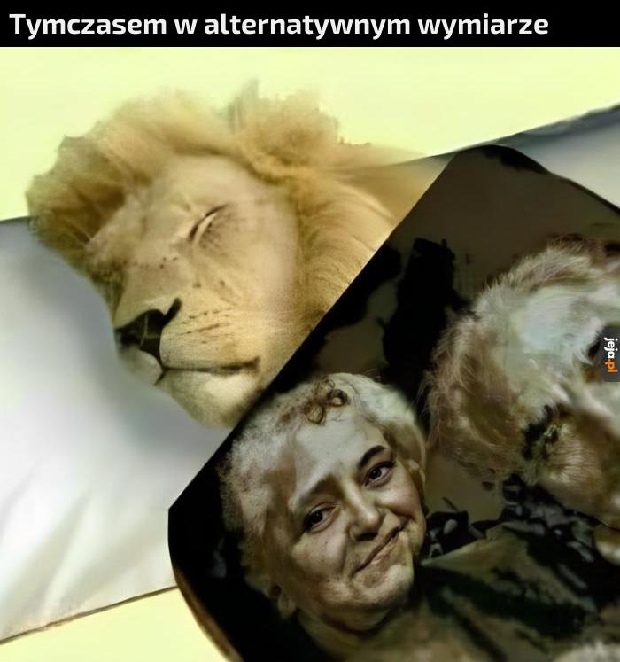 Kocham te artystyczne koce