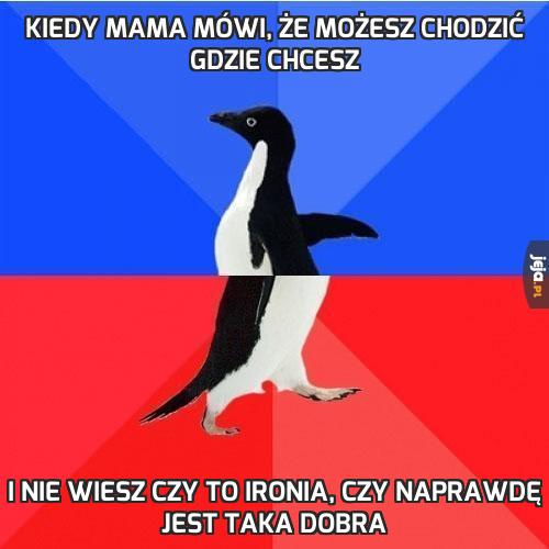 Kiedy mama mówi, że możesz chodzić gdzie chcesz