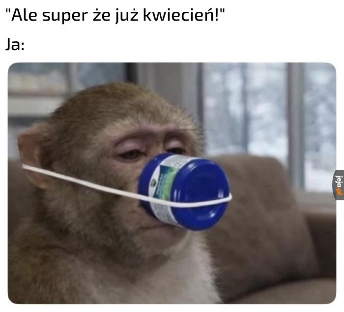 Wiecznie zapchany