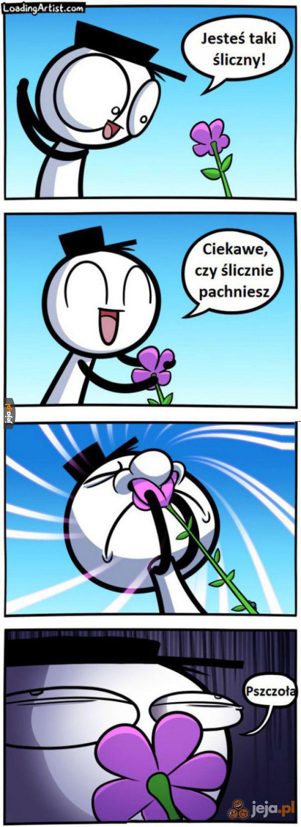 Kwiatuszek