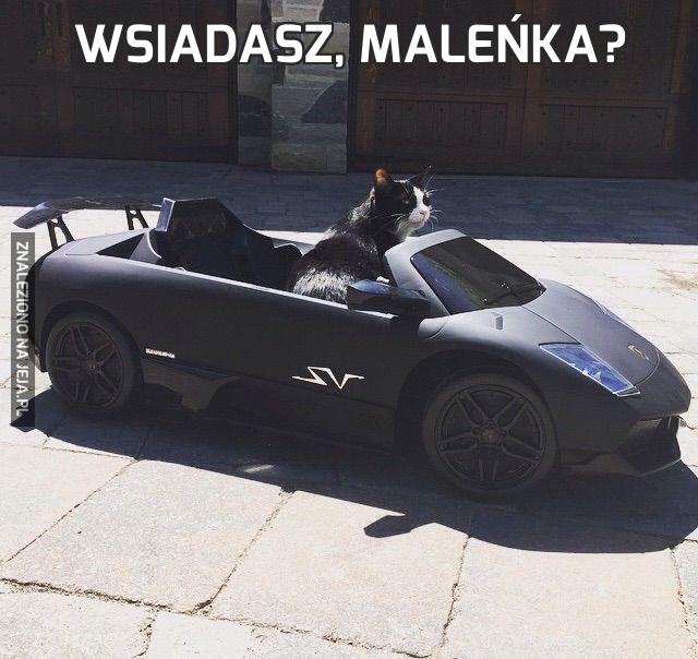 Wsiadasz, maleńka?