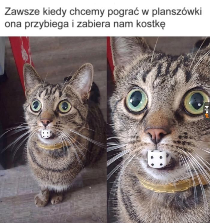 Musi bardzo nie lubić tego typu gier