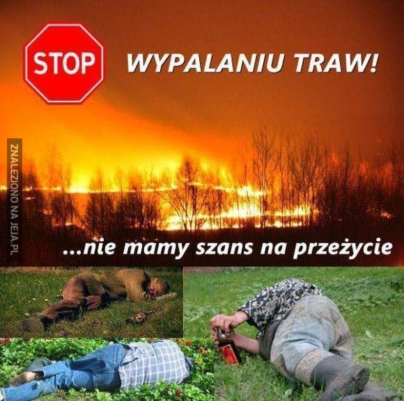 Pomyśl o nich zanim zaczniesz wypalać trawę Jeja.pl