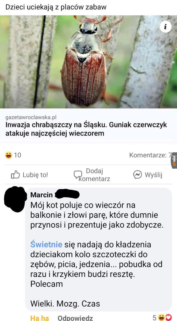 Mmmm robaczki
