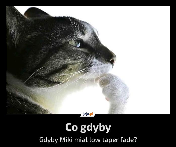 Pomyśl o tym, synu Lecha