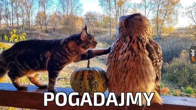 Pogadajmy