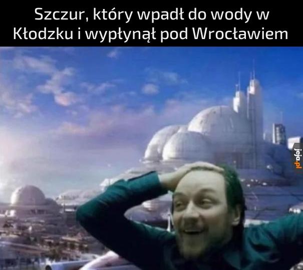 Ale przygoda!