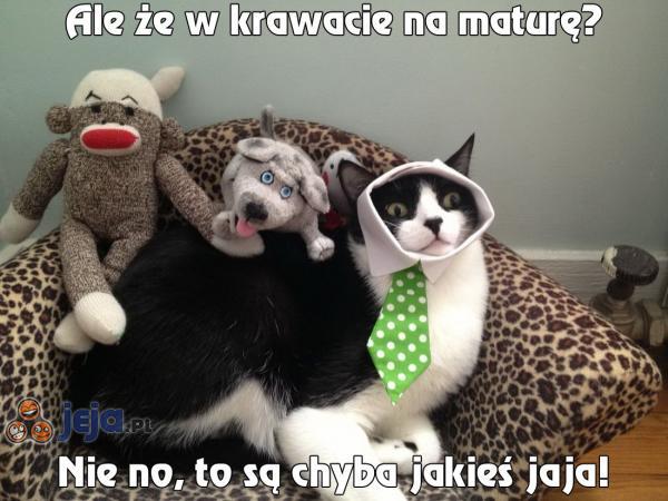 Ale że w krawacie na maturę?