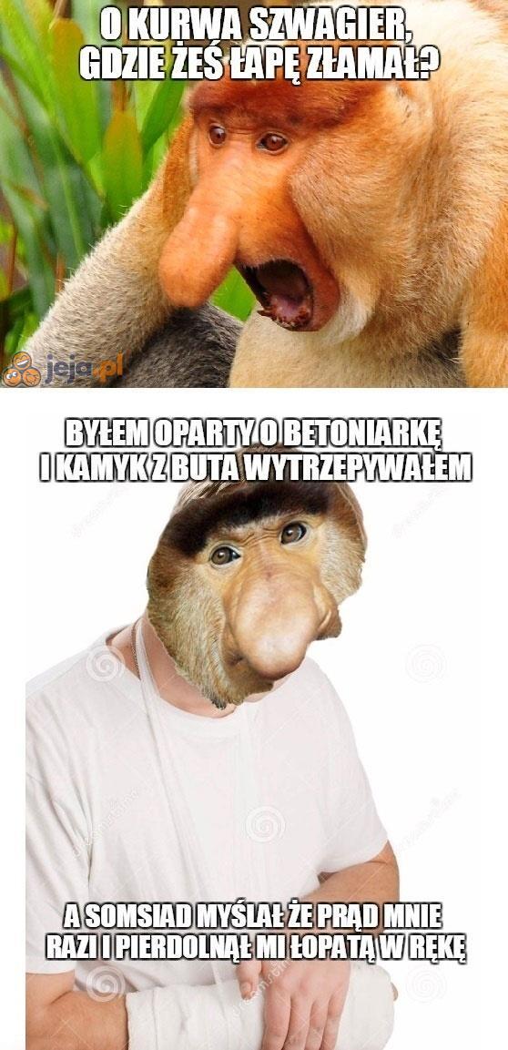 Niefortunny splot wydarzeń