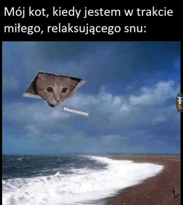 Halooou