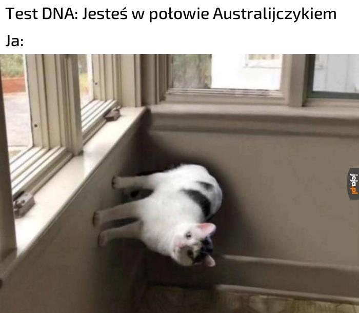 Już zawsze będę tak chodzić