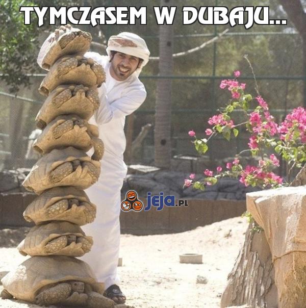 Tymczasem w Dubaju...