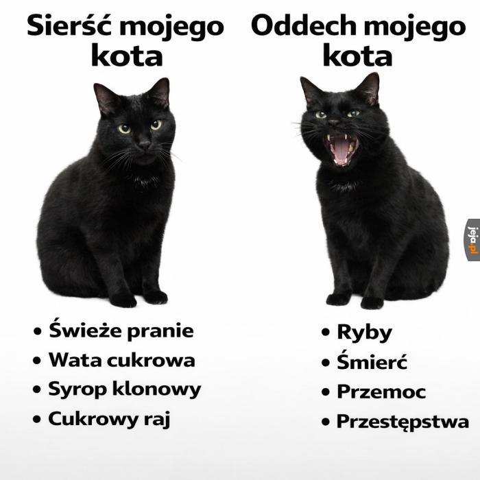 Ciekawy kontrast