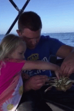 Pozwolić córce trzymać kraba - niezbyt dobry pomysł