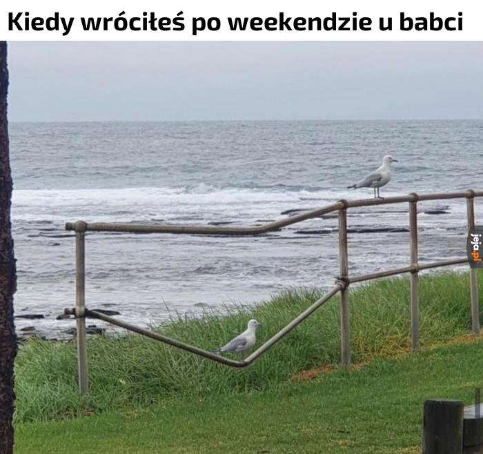 Tylko troszeczkę przytyłem