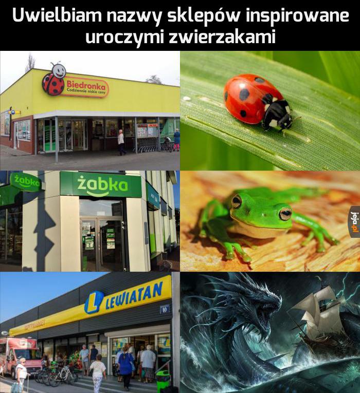 Kto wpadł na ten pomysł?