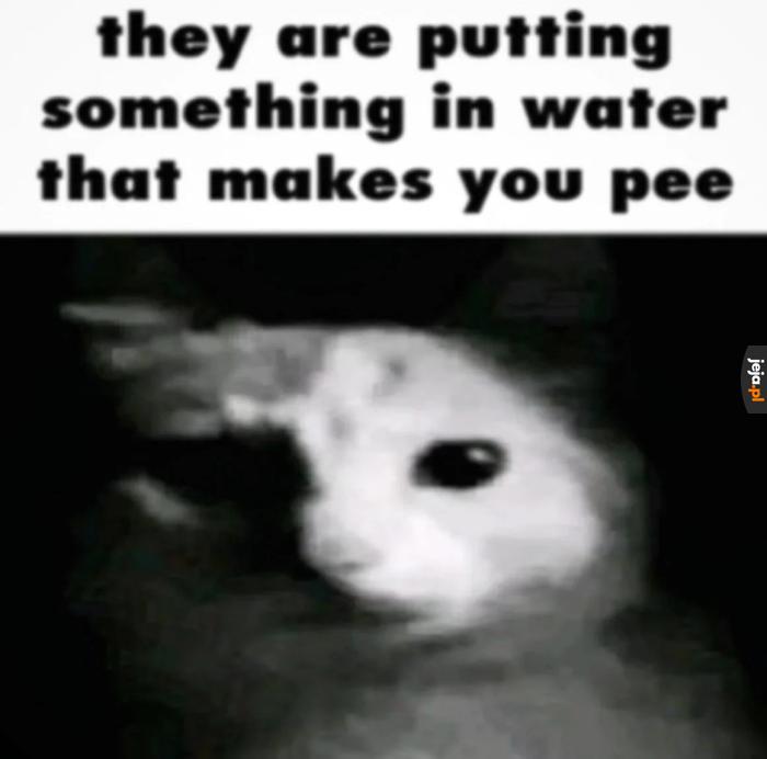 Siki, siki pije Miki