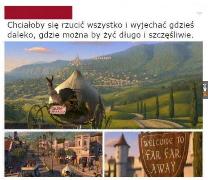 Ale żyjesz w Polsce
