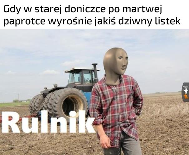 Nawet mnie nie ugryzł…AŁA